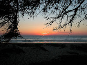 Peaceful Beach Life Wallpaper