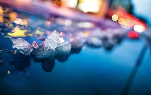 Peaceful Crystallized Snow Wallpaper
