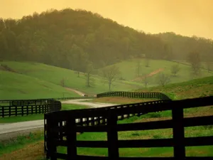 Peaceful Farm Life Wallpaper
