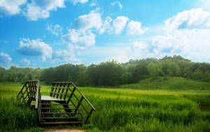 Peaceful Grassland Wallpaper