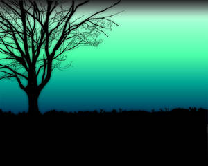 Peaceful Green Sky Wallpaper