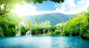 Peaceful Lagoon Greenery Sunny Day Wallpaper