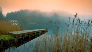 Peaceful Lake Area Wallpaper