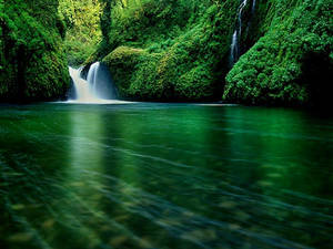 Peaceful Nature Life Wallpaper