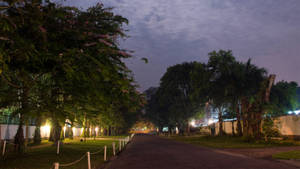 Peaceful Park In Congo Wallpaper