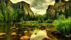 Peaceful Riverside Wallpaper