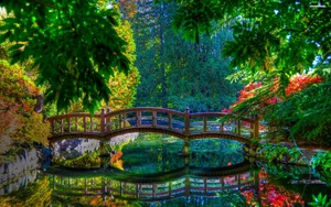 Peaceful Small Forest Wallpaper