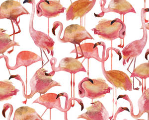 Peach Flamingo Pattern Wallpaper
