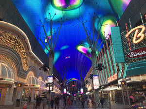 Peacock Design Fremont Street Ceiling Wallpaper