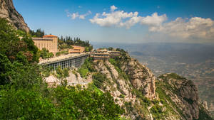 Peeping Montserrat Wallpaper