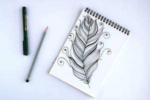 Pencil Drawing Feather Wallpaper