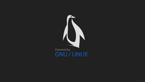 Penguin Linux Logo Wallpaper