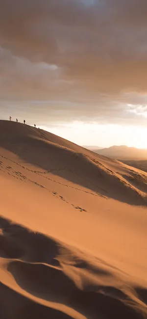 People Traveling In The Desert Iphone Wallpaper