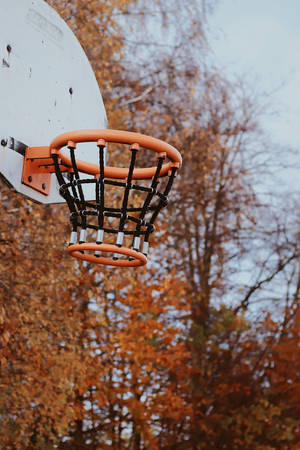 Perfect Day For A Game Of Basketball Wallpaper