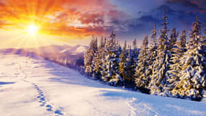 Perfect Winter Wonderland Wallpaper