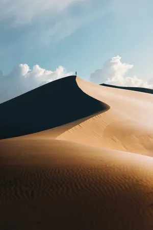 Person In Desert Wallpaper