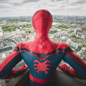 Peter Parker In Spider-man Homecoming Wallpaper