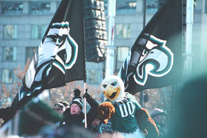 Philadelphia Eagles Mascot Wallpaper