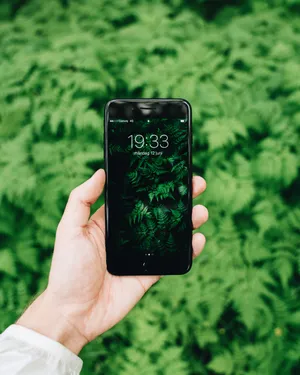Phone Grass Screen Wallpaper