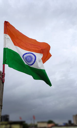 Photogenic Indian Flag Hd Wallpaper