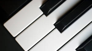Piano Black And White Keys Wallpaper