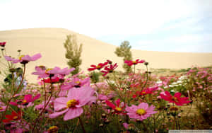 Picked Wildflowers Of Radiant Hues Against A Sunny Yellow Backdrop. Wallpaper