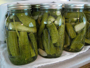 Pickle Slices With Dill Wallpaper