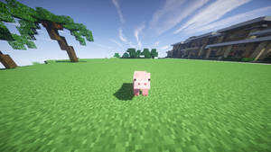 Pig In A Grassy Field 2560x1440 Minecraft Wallpaper
