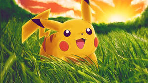 Pikachu In Grass Field Wallpaper