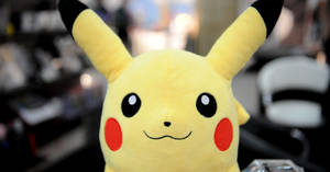 Pikachu Plush Head Wallpaper