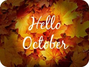 Pile Of Orange Leaves Hello October Wallpaper