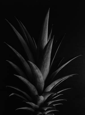 Pineapple Crown In Black Wallpaper