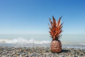 Pineapple In Rocky Shore Wallpaper