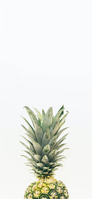Pineapple Iphone 2021 Wallpaper