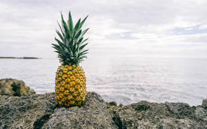 Pineapple On Rocky Shore Wallpaper