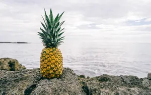 Pineapple On Rocky Shore Wallpaper