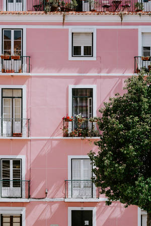 Pink Aesthetic Facade