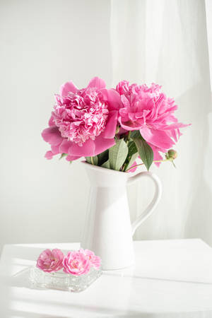 Pink Aesthetic Flowers In Vase Wallpaper