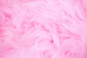 Pink Aesthetic Fur Wallpaper