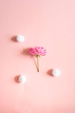 Pink Aesthetic Mini Flower Wallpaper