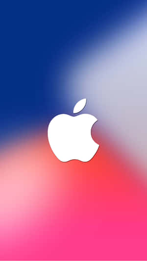 Pink And Blue Amazing Apple Hd Iphone Wallpaper