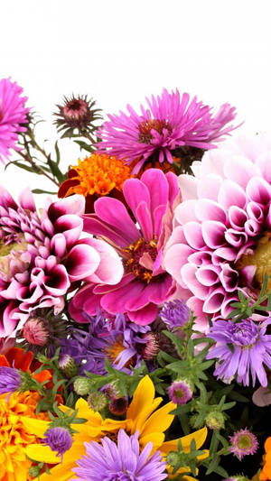 Pink And Purple Flowers Floral Iphone Wallpaper