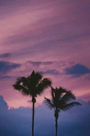 Pink And Purple Outdoor Aesthetic Wallpaper