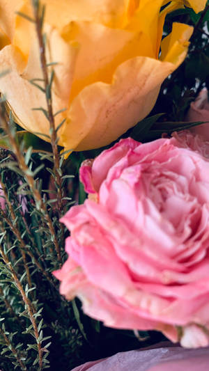 Pink And Yellow Aesthetic Rose Bouquet Wallpaper