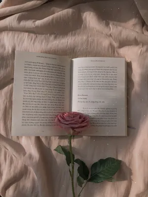 Pink Book Aesthetic Wallpaper