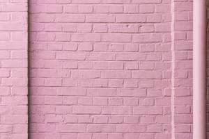 Pink Brick Wall Wallpaper