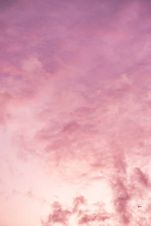 Pink Cloud Iphone Wallpaper