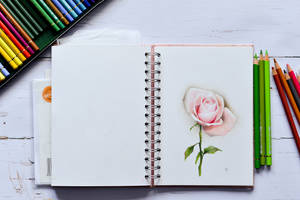 Pink Colored Pencil Drawing Wallpaper