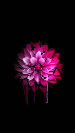 Pink Dahlia Flower Apple Wallpaper