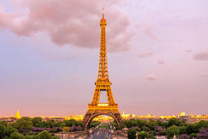 Pink Eiffel Tower Dominating Wallpaper